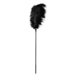 Стек с пером GP LARGE FEATHER BLACK