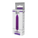 Мини вибромассажер DREAM TOYS 10-SPEED CLIMAX BULLET PURPLE Мини вибромассажер DREAM TOYS 10-SPEED CLIMAX BULLET PURPLE