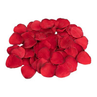 Набір еротичних гаджетів Dream Toys Amour The Hearts of Love, червоний