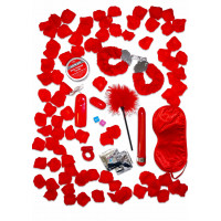 Набор БДСМ игрушек подарочный Toy Joy Romance Gift Set, красный Набор БДСМ игрушек подарочный Toy Joy Romance Gift Set, красный