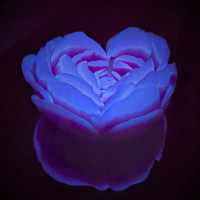 Свеча люминисцентная низкотемпературная GlowKink фиолетовая, М