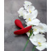 Анальная пробка Loveshop anal plug L RED 9.5 см *2.9 см