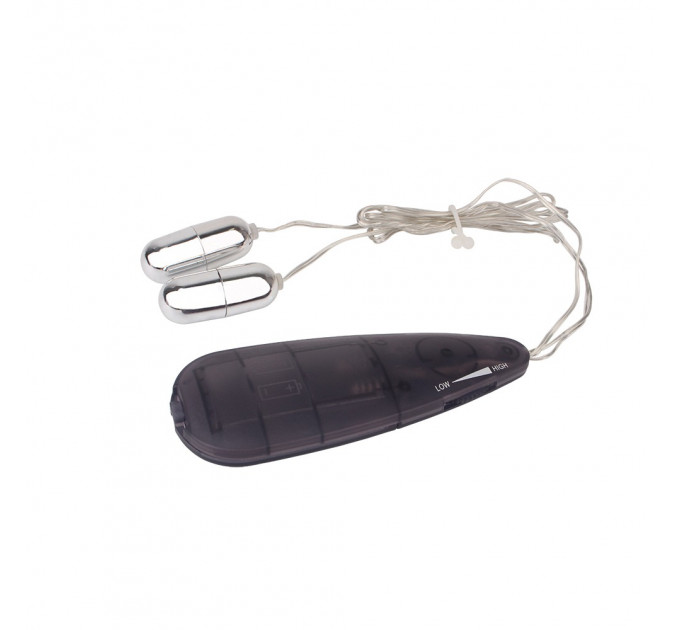 Вибропули серебристые Chisa Hi-Basic Double Play Bullets Vibrator с черным пультом управления