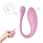 Виброяйцо Every Night Toys Isadora с дистанционным управлением, лавандовый, 10 режимов вибрации