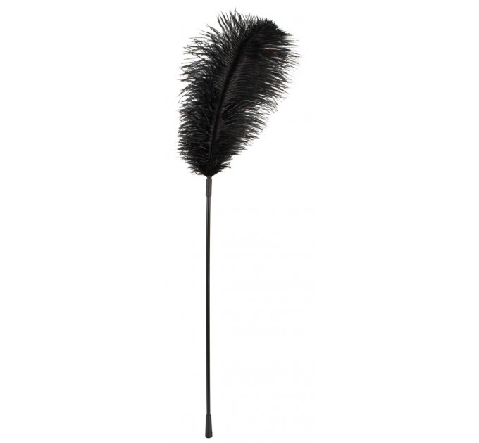 Перо Black feather Bad Kitty