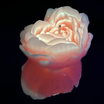 Cвiчка люмінісцентна низькотемпературна GlowKink помаранчева, М