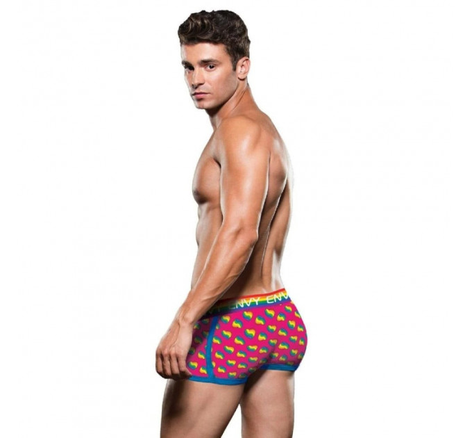 Труси-боксери чоловічі Envy Menswear Rainbow Hearts кольорові, L/XL