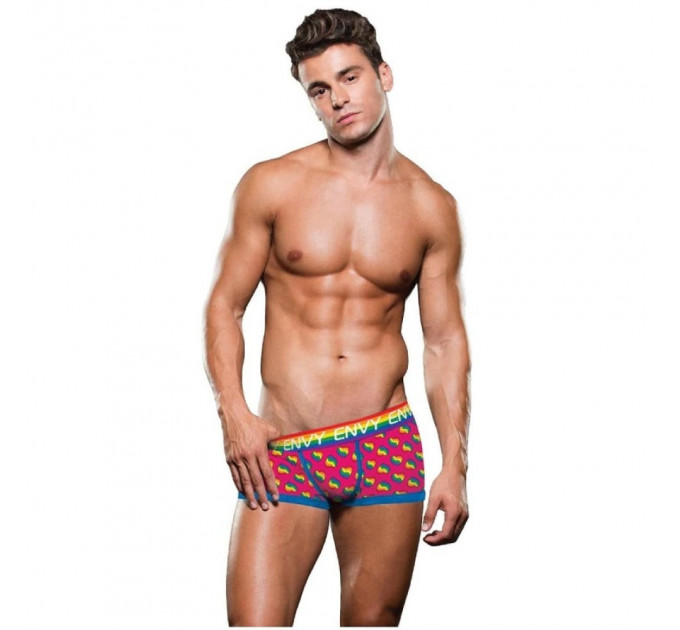 Труси-боксери чоловічі Envy Menswear Rainbow Hearts кольорові, L/XL