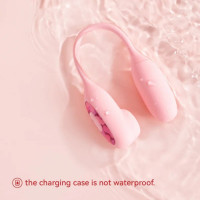 Віброяйце та вакуумний стимулятор для клітора 2в1 BeYourLover Magic Suitcase в зарядному кейсі, рожевий