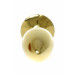 Анальная пробка с голубой розой Plug-Jewellery Gold PLUG ROSE- Light Blue