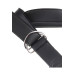 Страпон реалистичный Pipedream King Cock Strap-On с кольцевой крепью, на трусиках, бежевый
