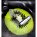Виброкольцо California Exotic Novelties Maximu Bead Maximus Ring